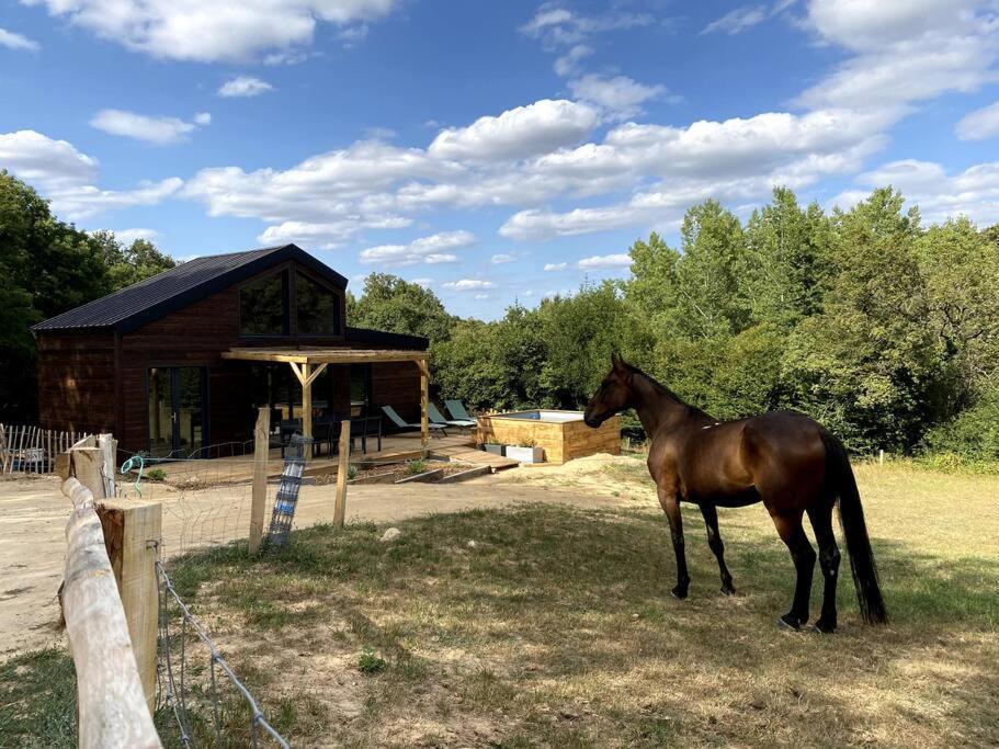 La Cabane Du Petit Moulin Bressuire Εξωτερικό φωτογραφία
